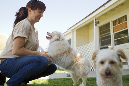 Doggie Day Care: Is It Right for Your Dog?