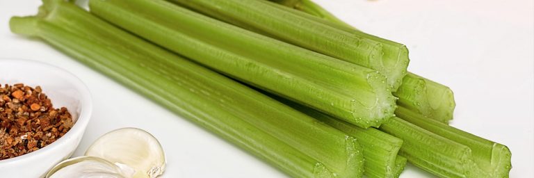 Can Dogs Eat Celery with Recipes?