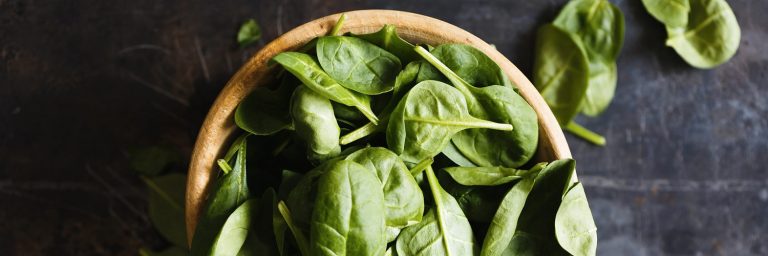 Can Dogs Eat Spinach?