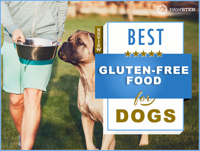 Best Gluten Free Dog Food