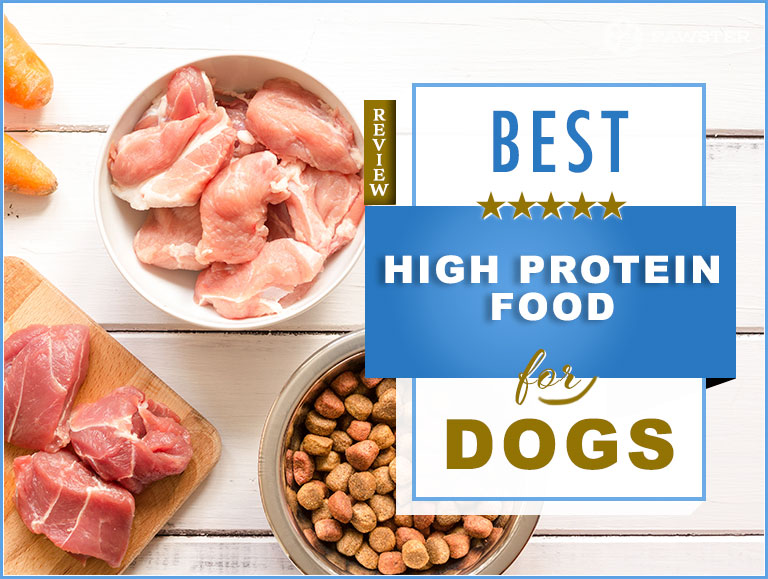 best high meat content dog food