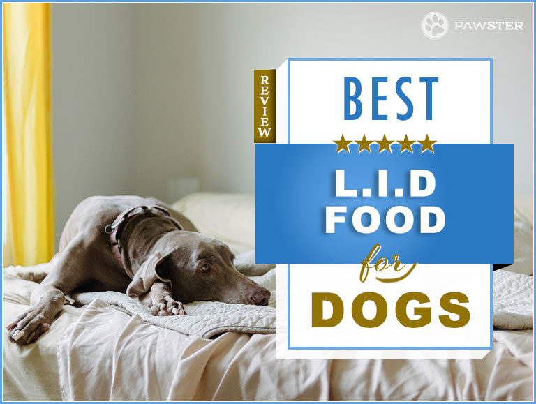 Best Recommended Limited Ingredient Dog Food