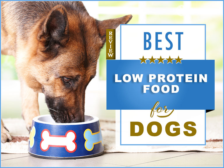 low protein dog food for puppies