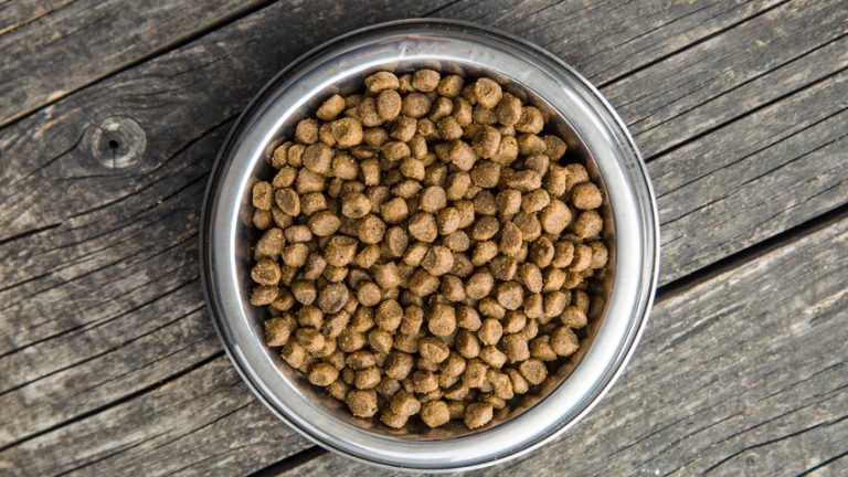 Precise Dog Food Reviews, Coupons and 