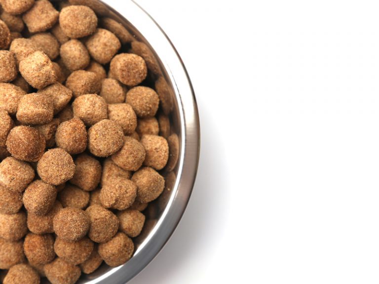 Whole Earth Dog Food Reviews, Coupons and Recalls 2024