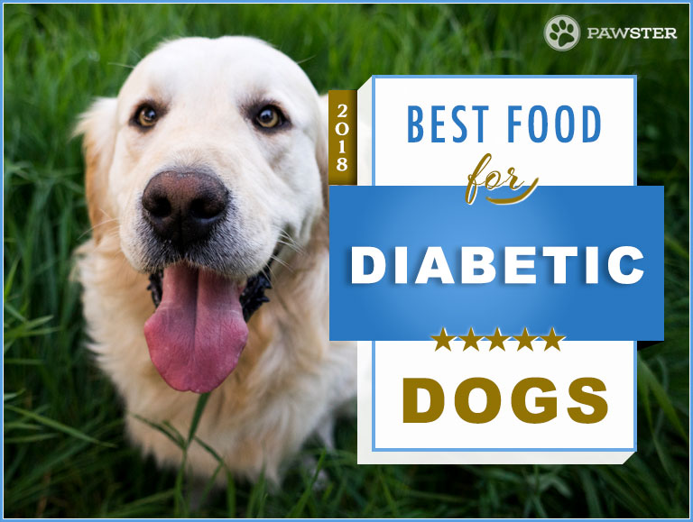 Top 5 Recommended Best Diabetic Dog Food Recipes - 2018