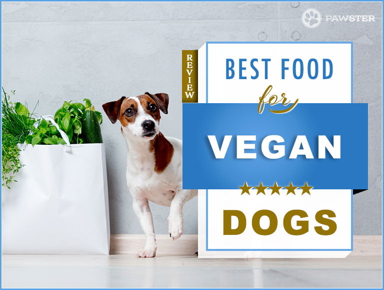 the best vegan dog food