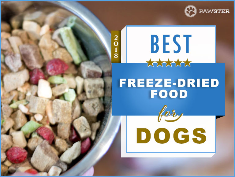 best freeze dried dog food