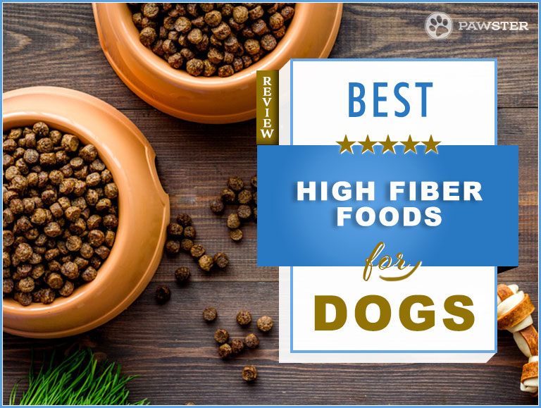 Best High Fiber Dog Food