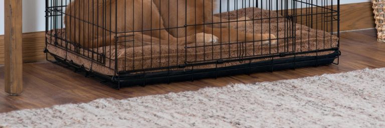 Best Dog Crate Beds