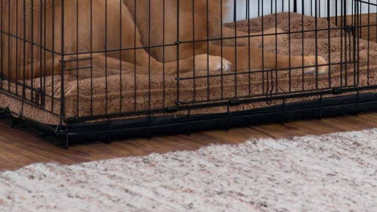 Best Crate Mats for Dogs 2020