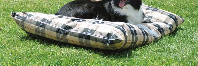 The Best Outdoor/Waterproof Beds for Dogs