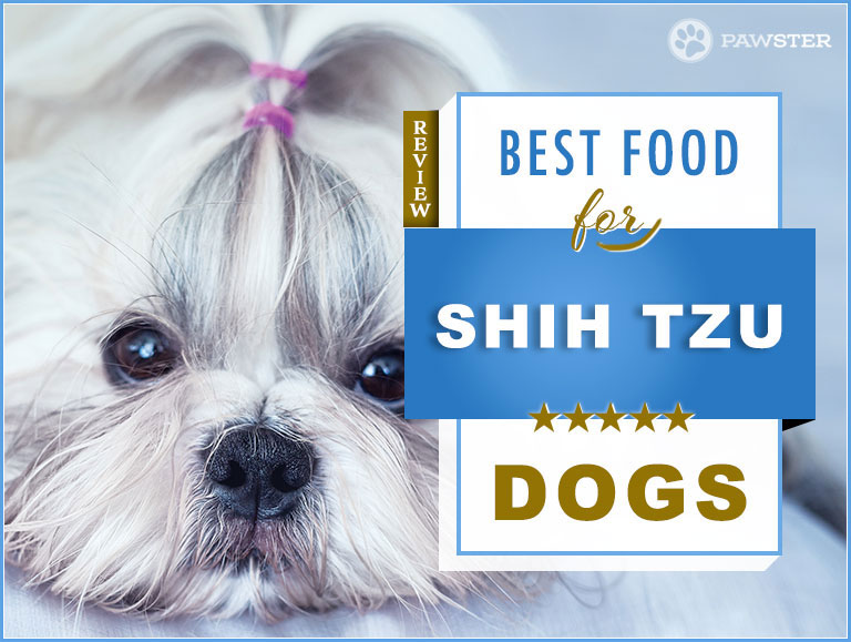 best dog food brands for shih tzu