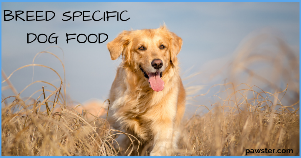 Dog Food Recommendations by Breed