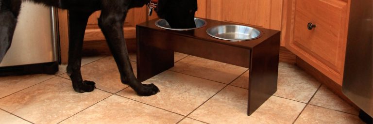 Elevated Dog Bowls – Why To Buy + Best Choices