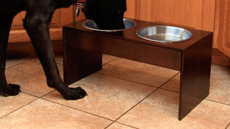 elevated dog bowls