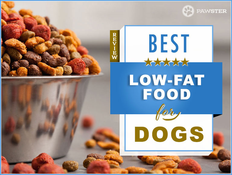 crude oils and fats in dog food