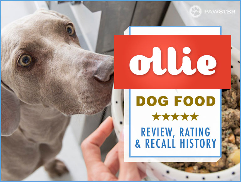 ollie dog food