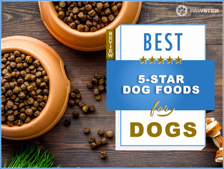 Top Recommended 5-Star Dog Food Brands 2024