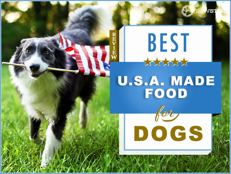 What Does It Mean If A Dog Food Is “Made In The USA”?