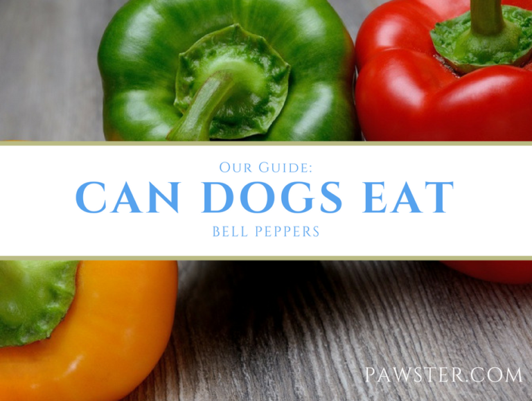 are bell peppers safe for dogs