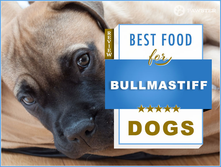 best food for bullmastiff