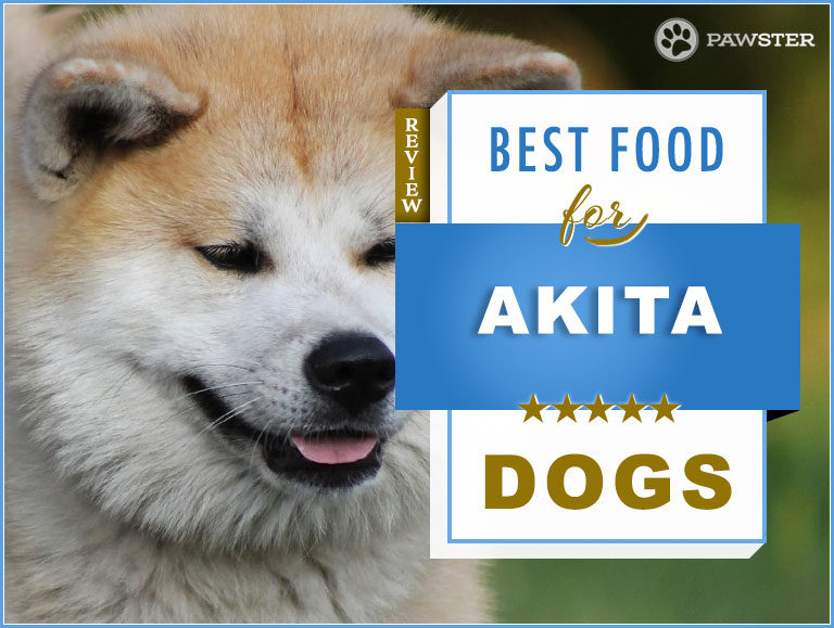 Best Dog Foods For Akitas : Akita Dog Nutrition Guide