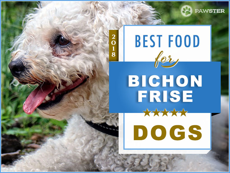 6 Best Foods to Feed Your Puppy and Adult Bichon Frise