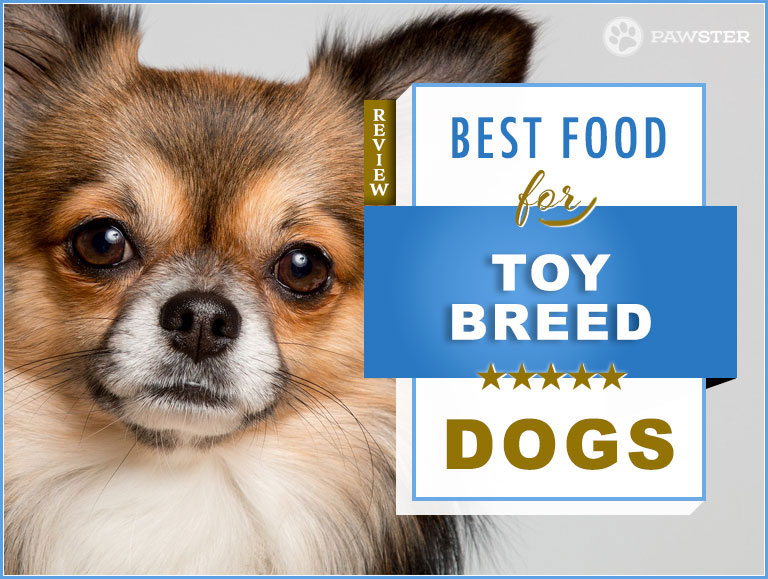 best food for puppies small breed
