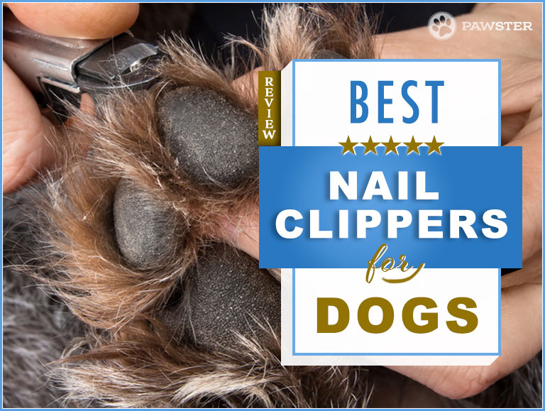 recommended dog nail clippers