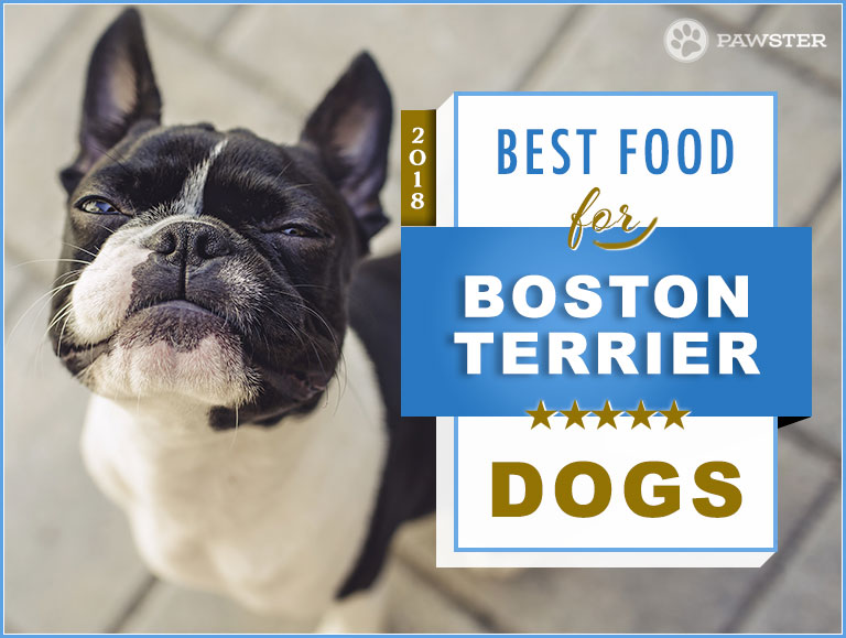 8 Best Foods To Feed an Adult and Puppy Boston Terrier in 2018