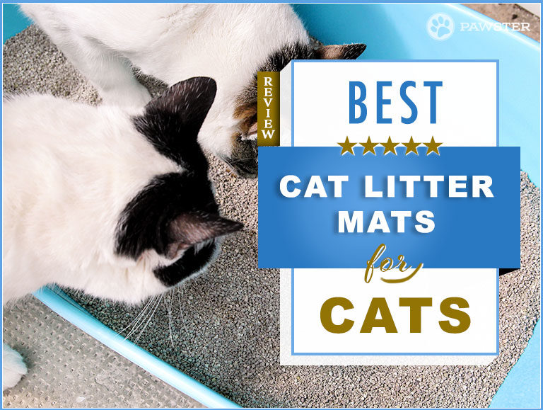 Best Cat Litter Mats Of 2023: A Buyer’s Guide