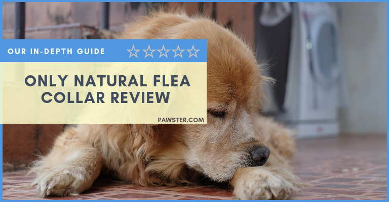 Only Natural Flea and Tick Collar Reviews and Coupons: Buyers Guide