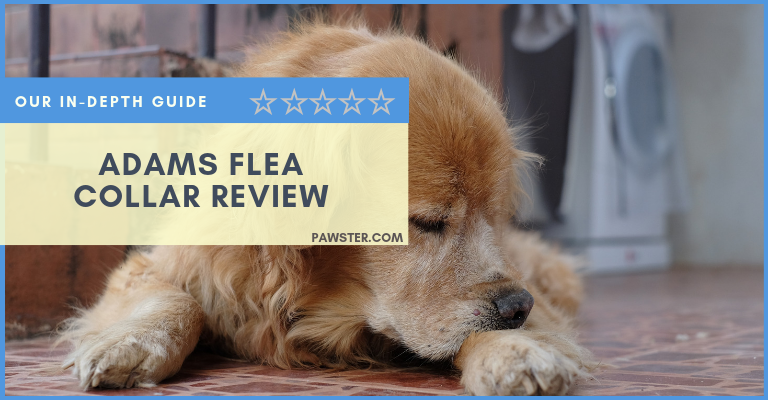 Adams Flea and Tick Collar Reviews and Coupons: Buyers Guide