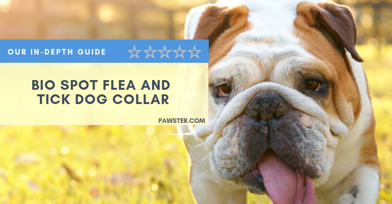 Bio Spot Flea and Tick Collar Reviews and Coupons: Our Guide