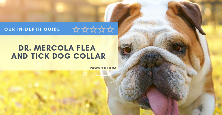 Dr. Mercola Flea and Tick Collar Reviews and Coupons: Our Guide