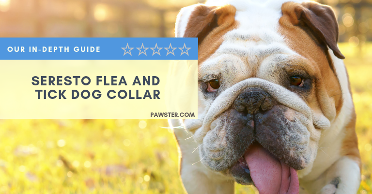 Seresto Flea and Tick Dog Collar Reviews and Coupons: Our 2024 Guide