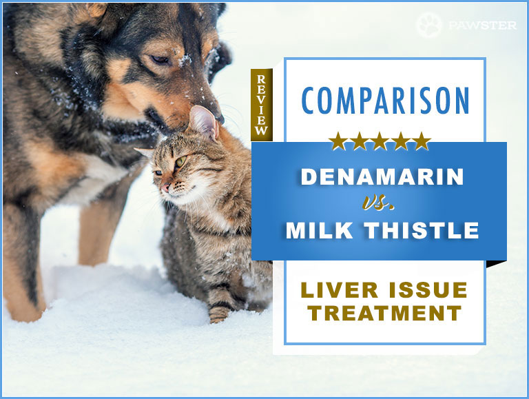 Denamarin vs. Milk Thistle : 2024 Comparison and Key Differences
