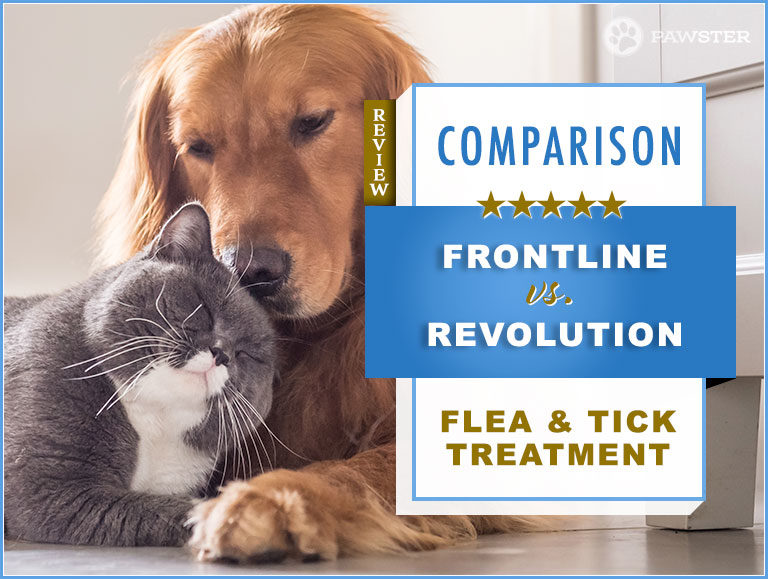 Frontline vs. Revolution : 2023 Flea & Tick Treatment for Dogs & Cats Comparison