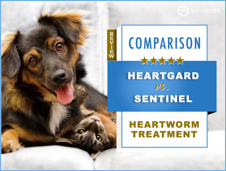 Heartgard vs. Sentinel Heartworm Treatment for Dogs & Cats : 2022 Comparison