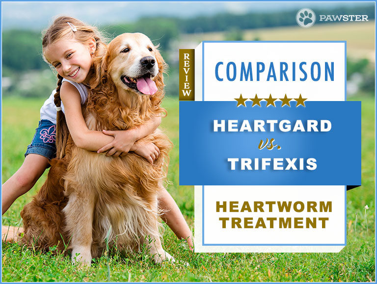 Heartgard vs. Trifexis : Comparison and Key Differences