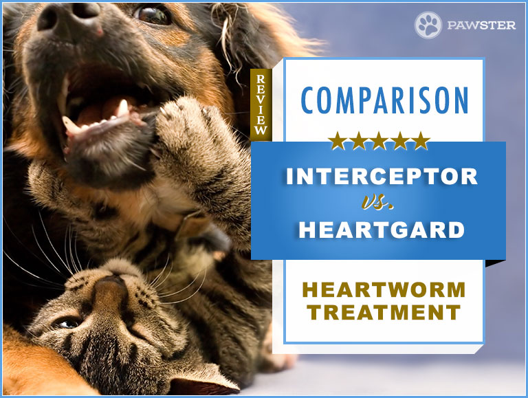 Interceptor vs. Heartgard Our 2020 InDepth Comparison