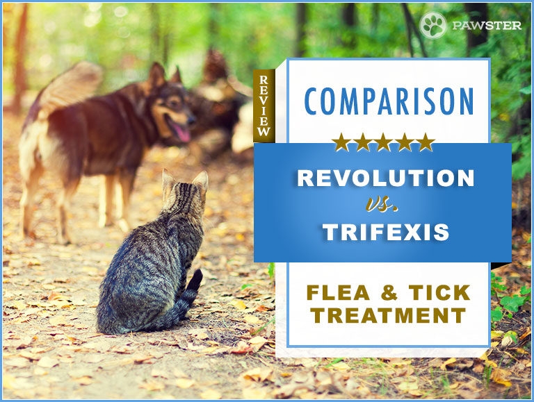 Revolution vs. Trifexis : 2023 Comparison and Key Differences