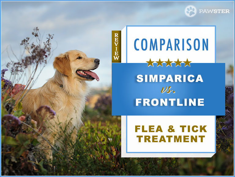 Simparica vs. Frontline : Comparison and Key Differences