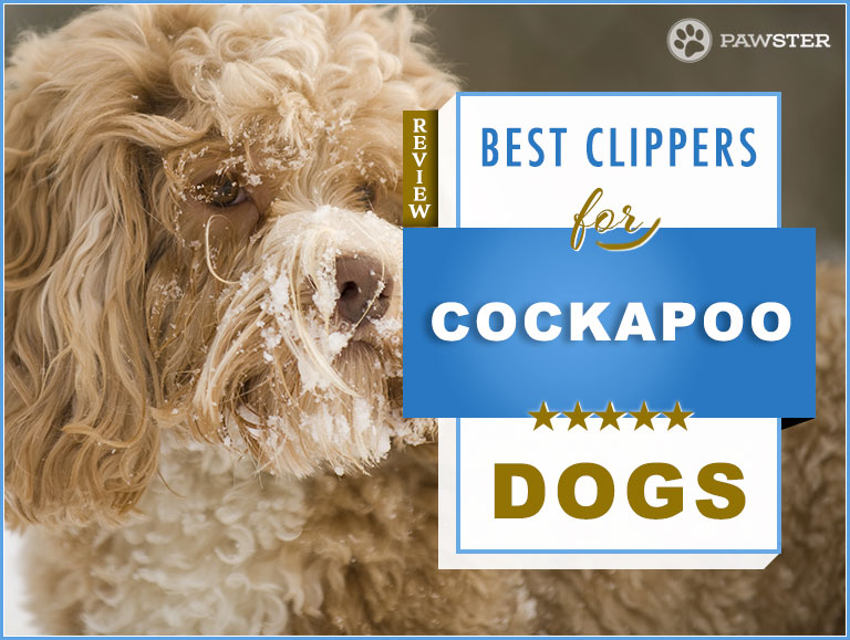 best dog clippers for cocker spaniel uk