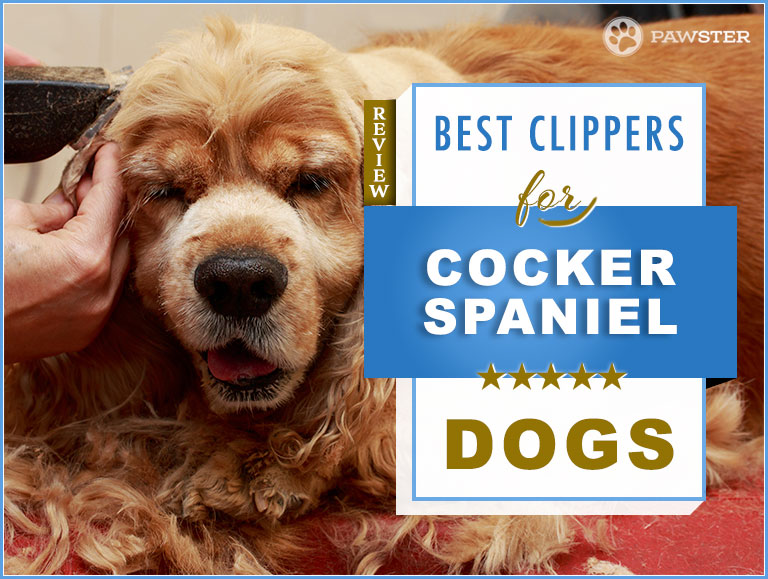 best dog clippers for cocker spaniel uk
