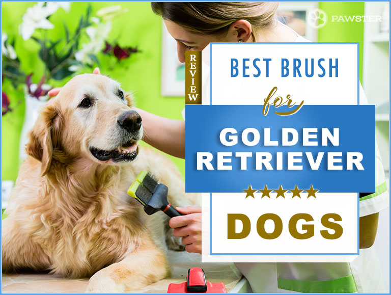 best brush for golden retriever