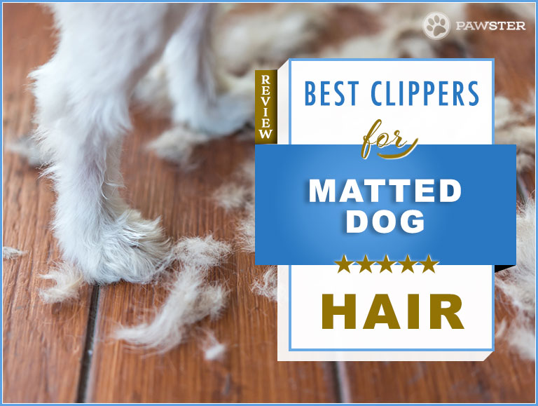 best dog clippers for thick matted hair