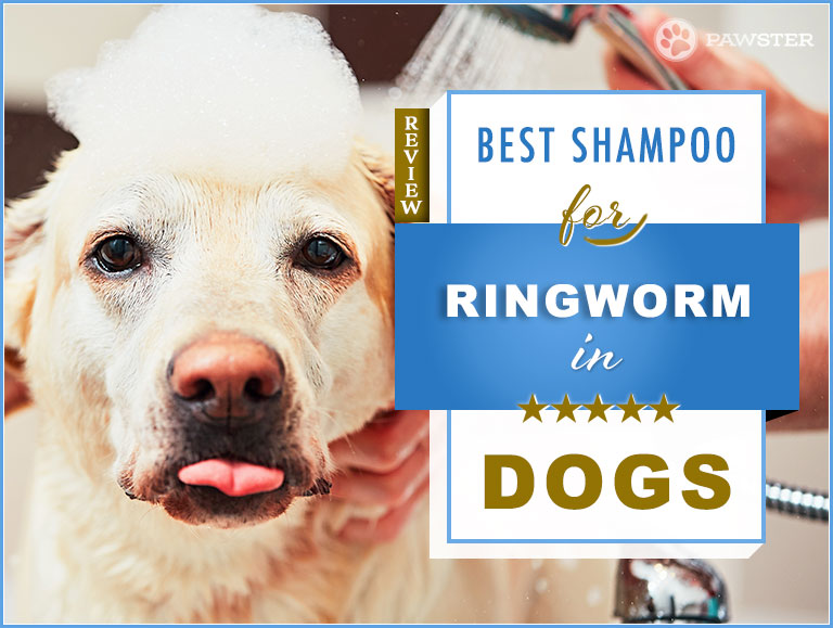 dog ringworm treatment over the counter