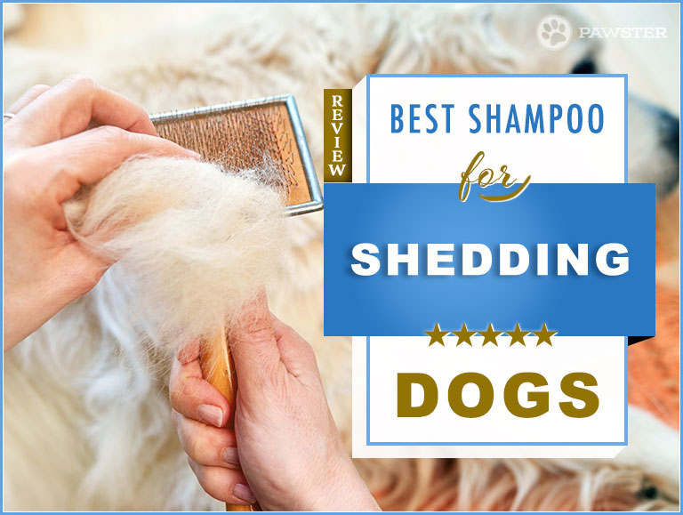 deshedding dog shampoo